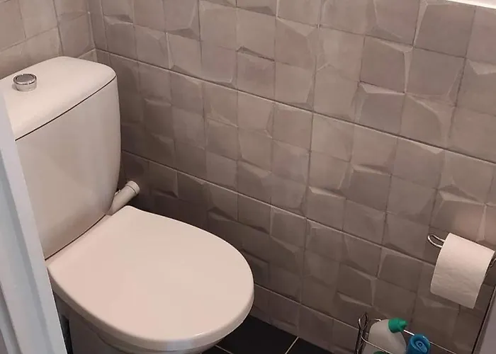 Chalé Les Châlets De Renoir 1 *